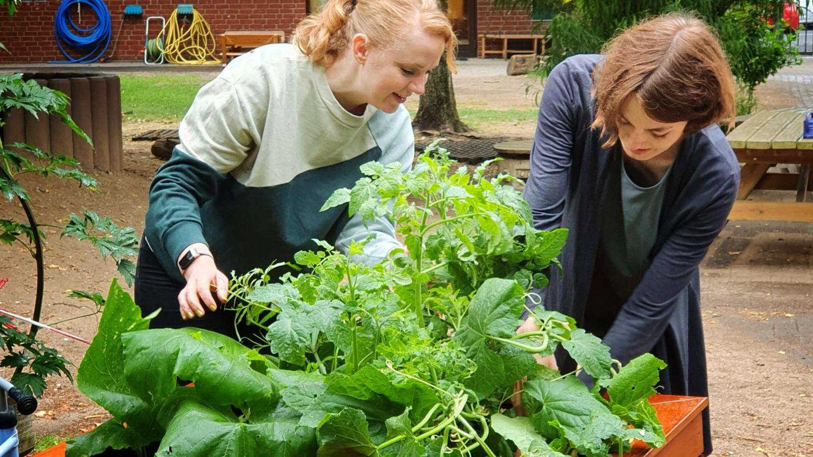 Tipps und Tricks für klimafreundliche und nachhaltige Ernährung