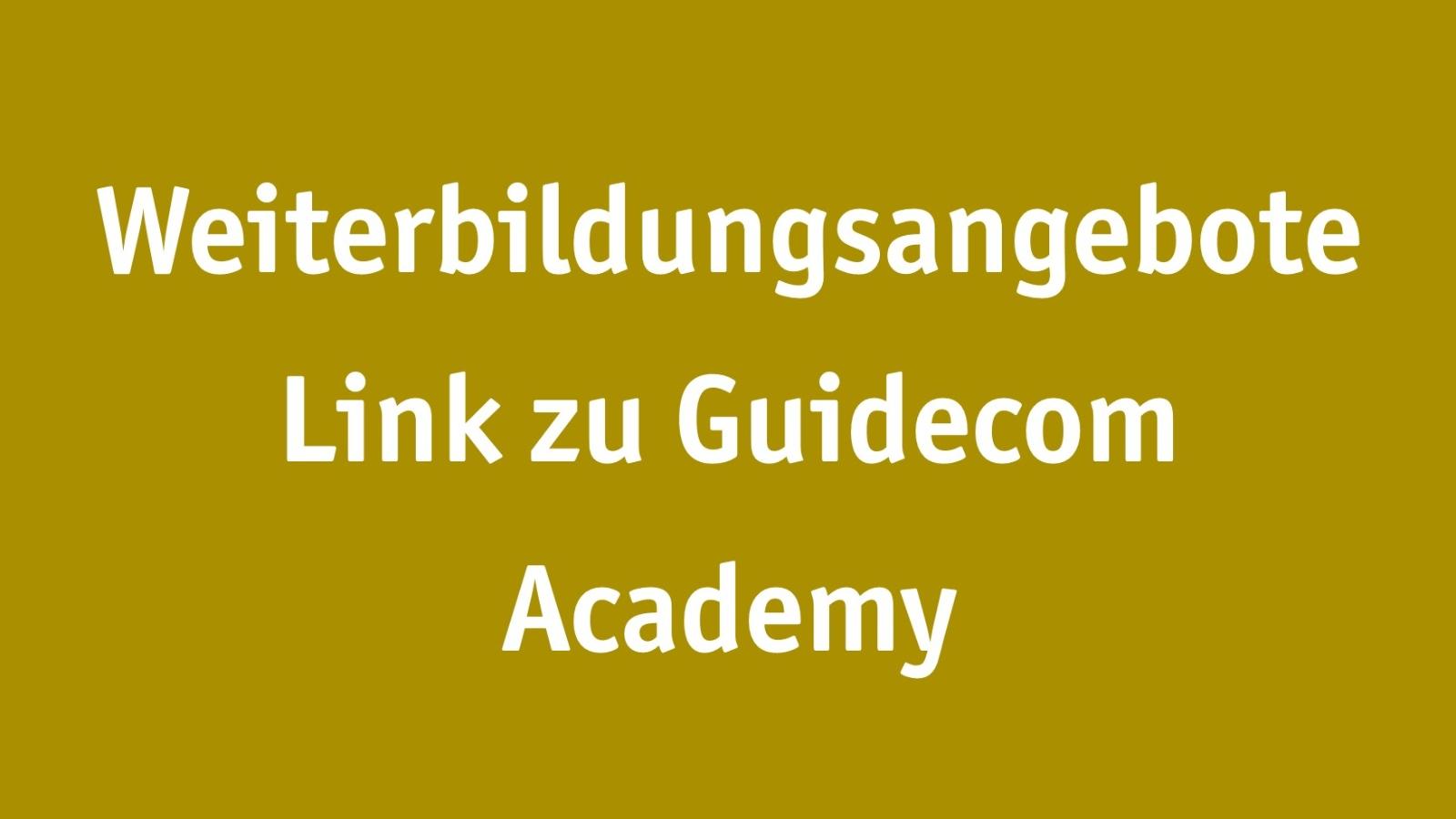 Guidecom Academy