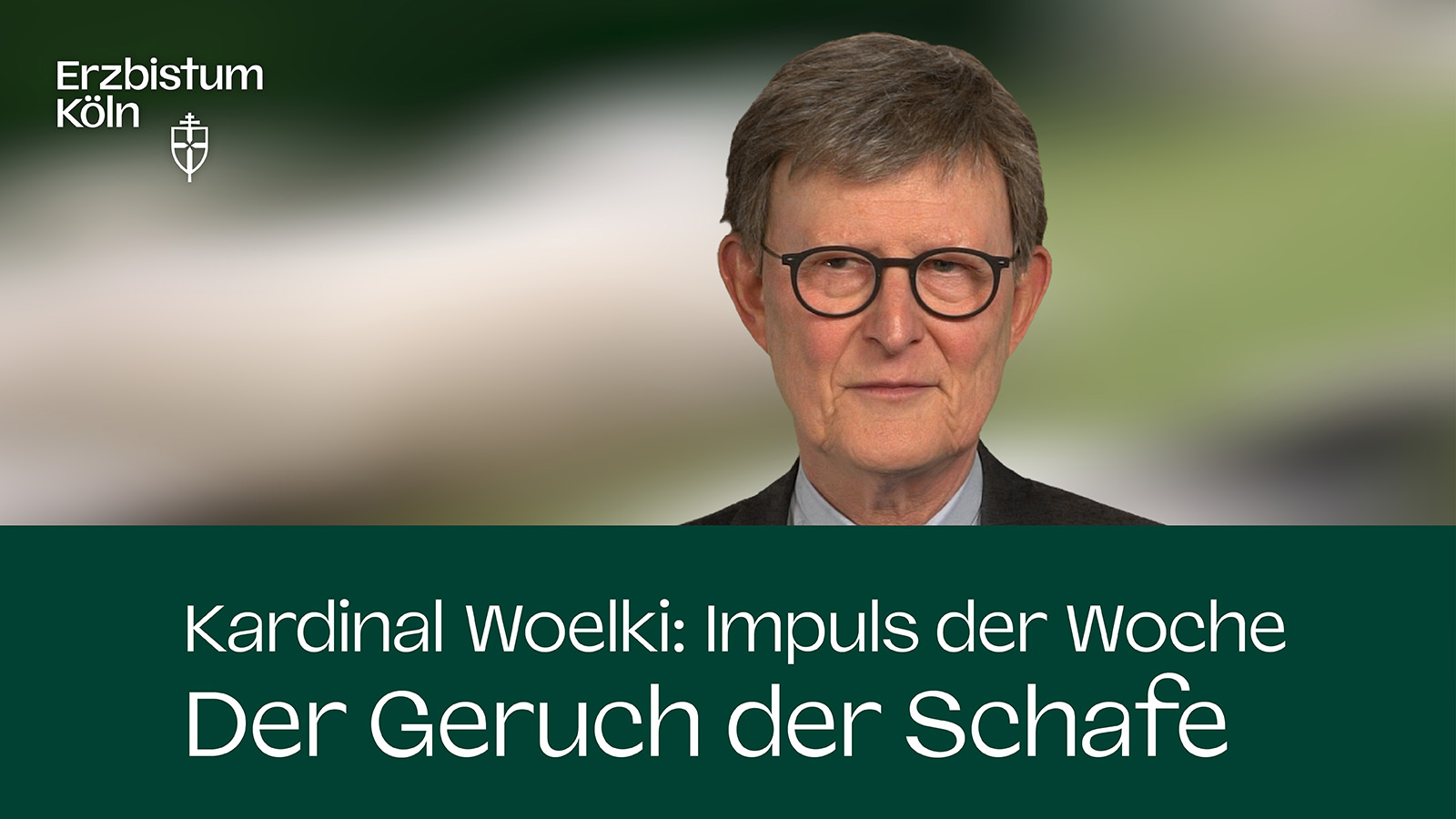 Kardinal Woelki: Impuls der Woche - Der Geruch der Schafe