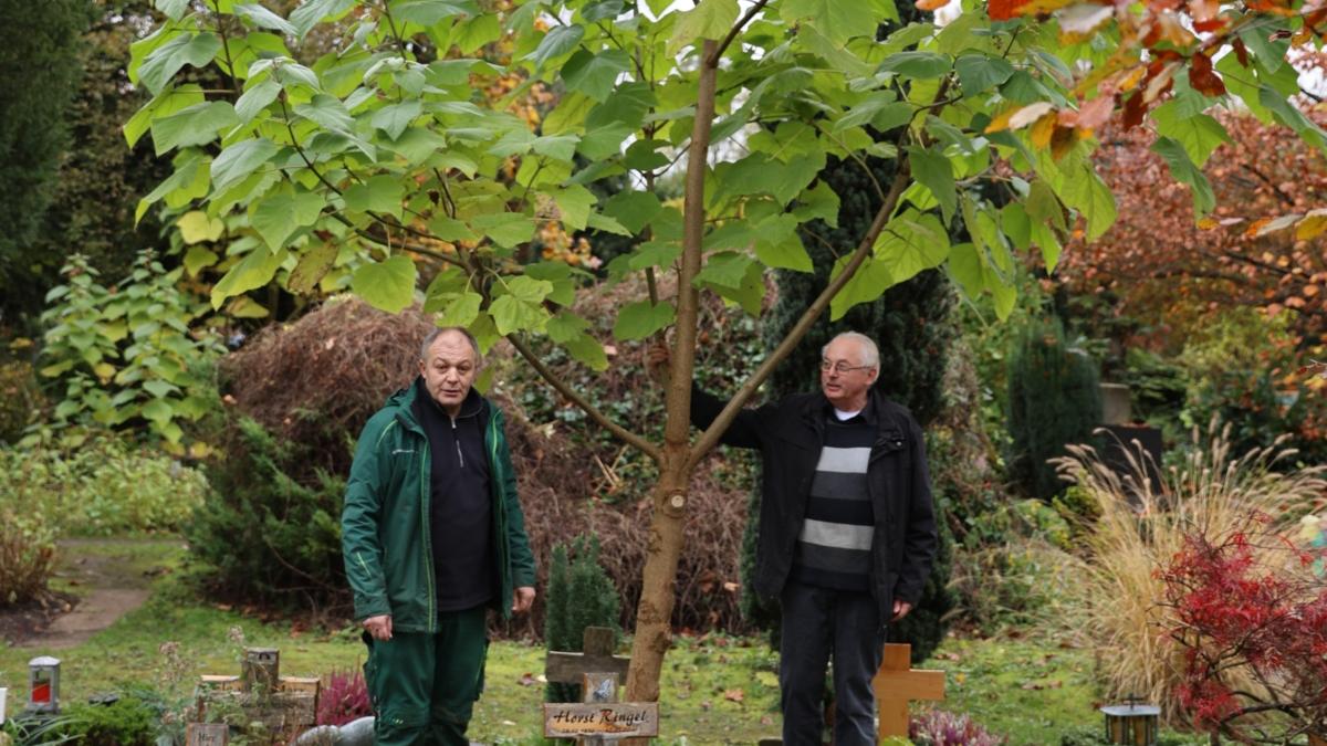 Bernhard Iding und sein Kollege Moussa Benzerga mit dem Klimabaum