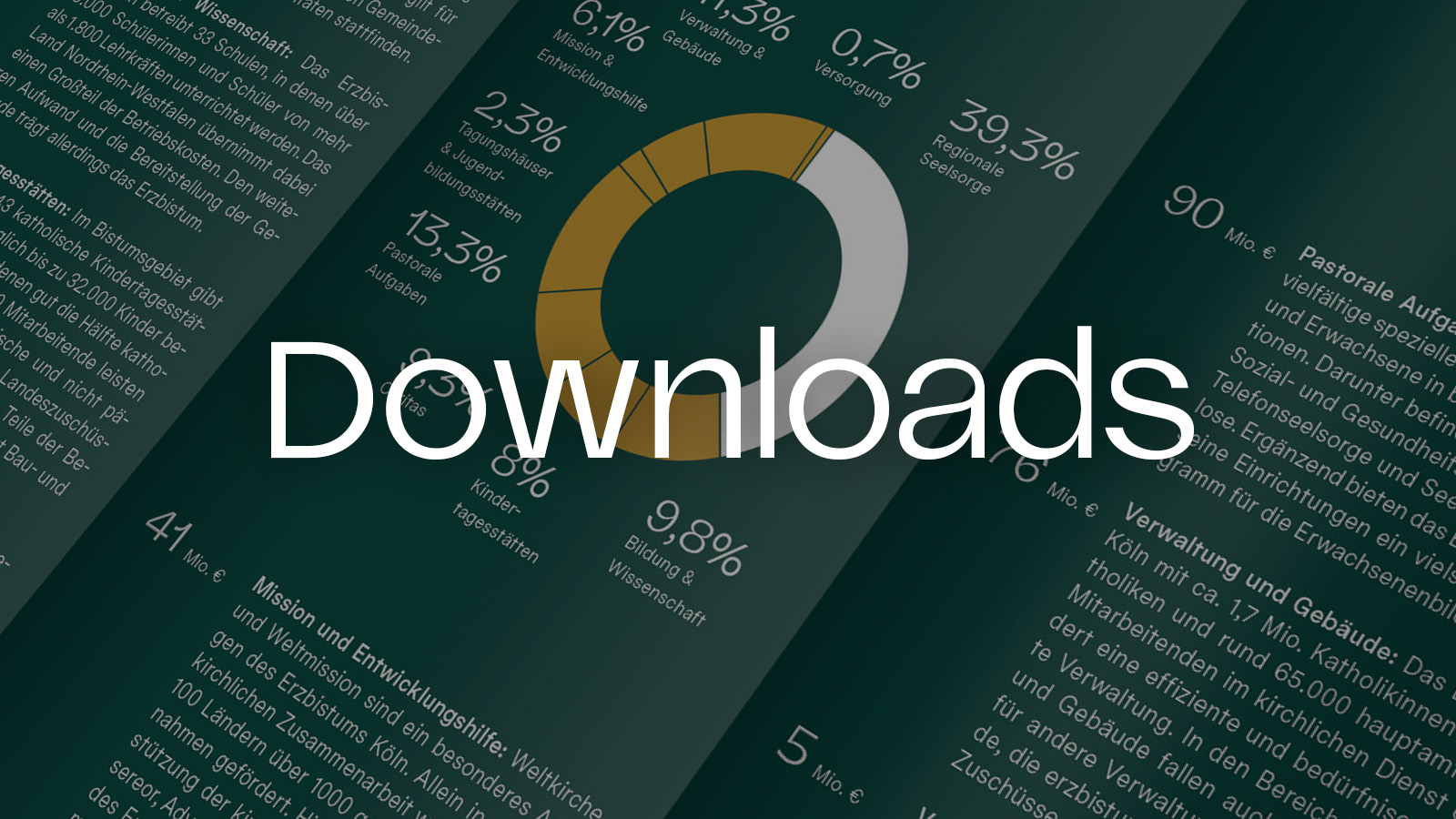 Wirtschaftsplan 2025: Downloads