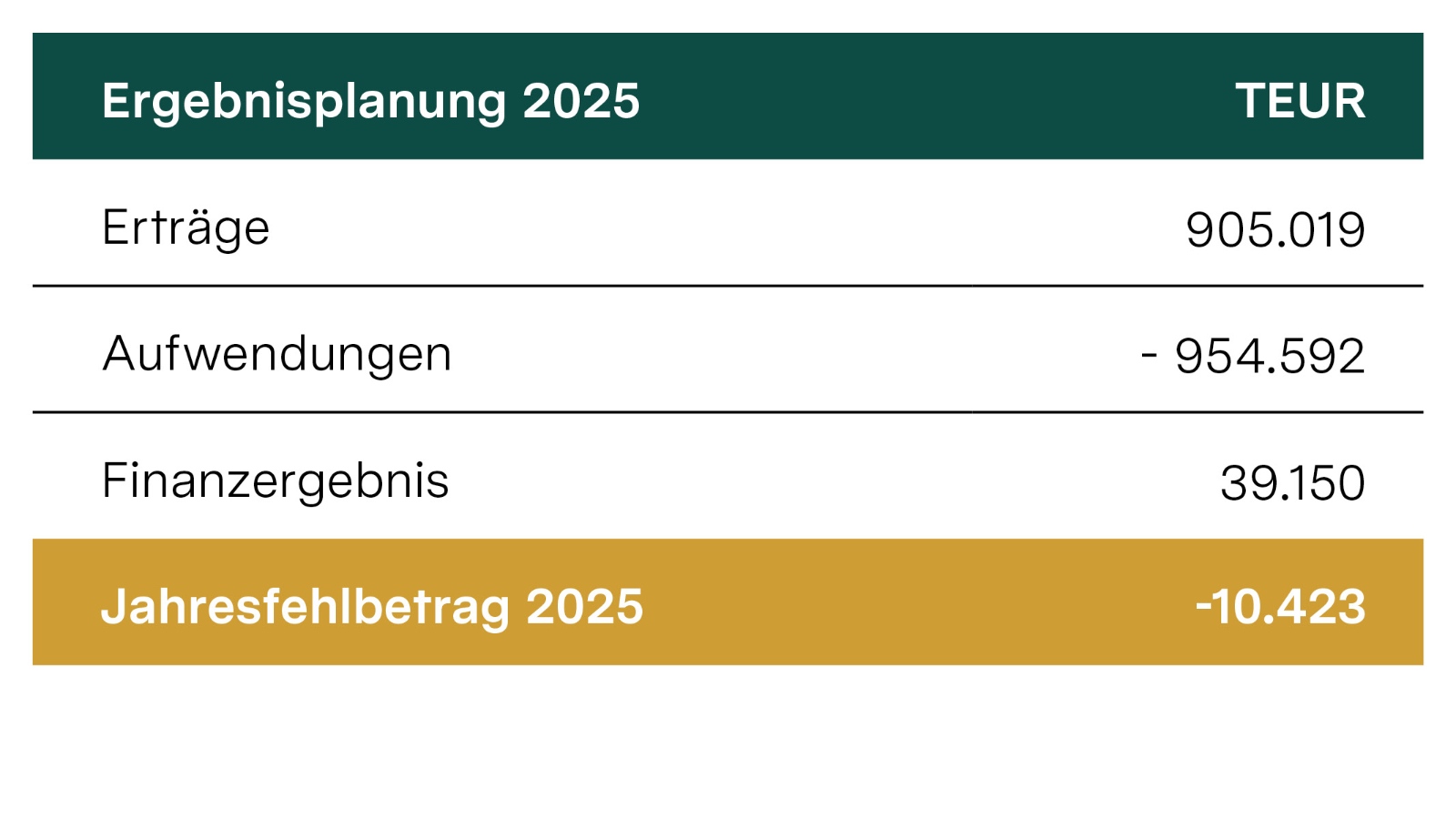 Wirtschaftsplan 2025: Tabelle Ergebnisplanung