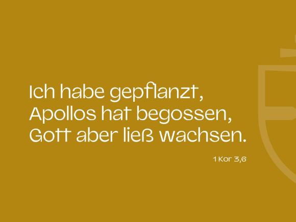 Bibelvers zur geistlichen Vision