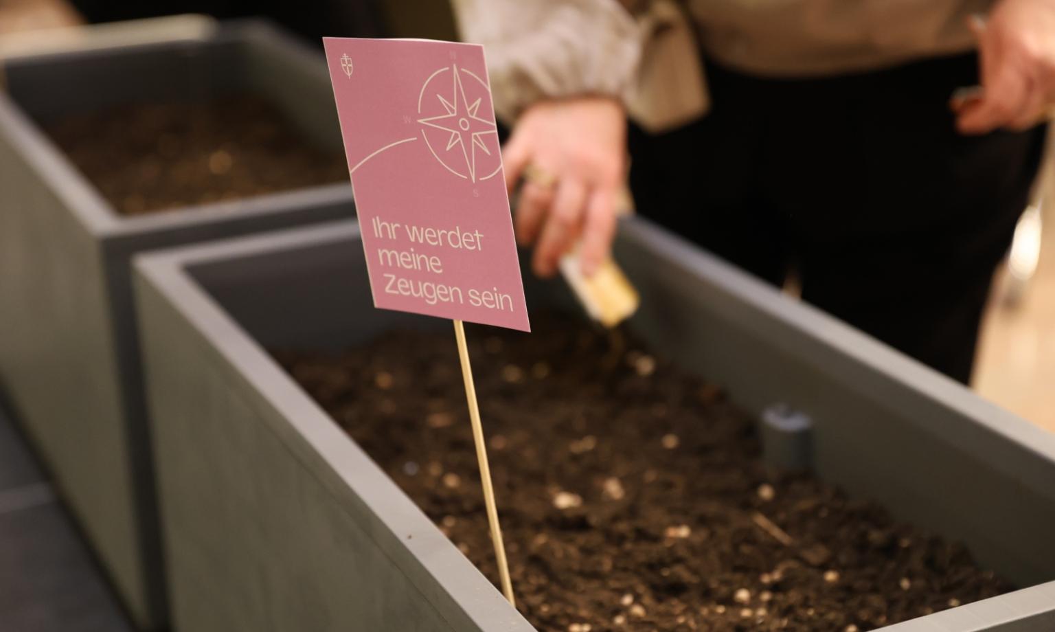 Geistliche Vision - säen