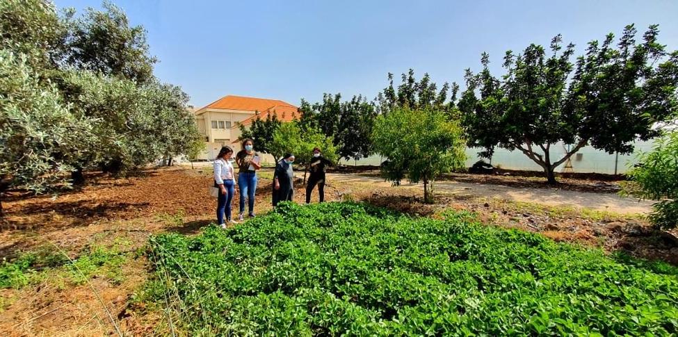 Franziskanerinnen von Menjez