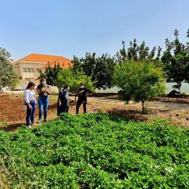 Franziskanerinnen von Menjez