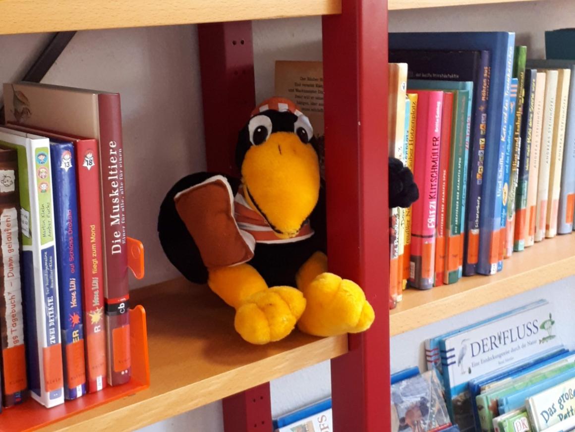Fridolin im Regal