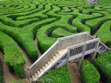 Labyrinth-Fotolia_51119750_XS
