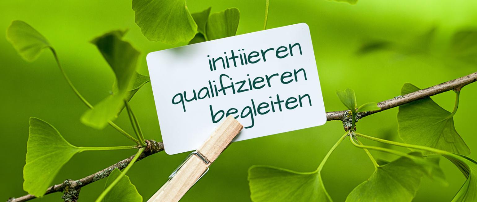 AdobeStock_82318526_pixelrohkost